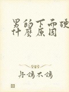 男的下面硬了是什么原因