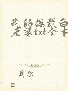 我的总裁白富美老婆txt全本小说