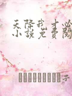 天降我才必有用小说免费阅读