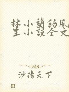 林小兰的风流人生小说全文免费阅读