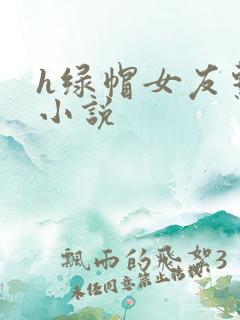 h绿帽女友系列小说