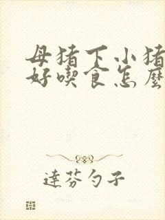 母猪下小猪不好好吃食怎么办