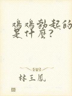 鸡鸡勃起的原因是什么?