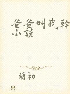 爸爸叫我干妈妈小说