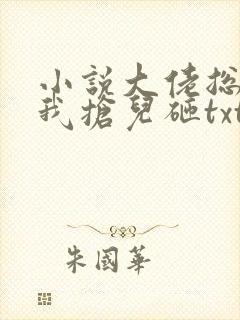 小说大佬总想跟我抢儿砸txt下载