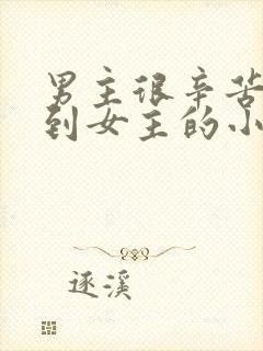 男主很辛苦才追到女主的小说