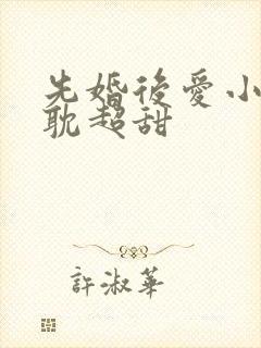 先婚后爱小说原耽超甜