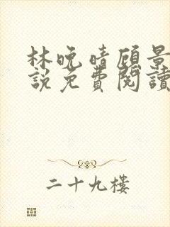 林晚晴顾景辰小说免费阅读最新章节