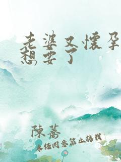 老婆又怀孕了不想要了