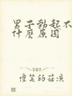 男子勃起不坚是什么原因