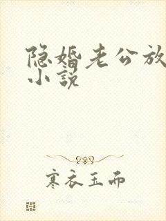 隐婚老公放肆宠小说