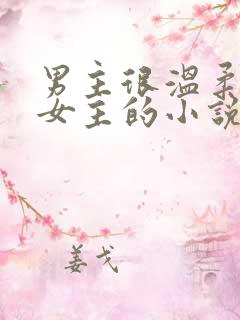 男主很温柔很爱女主的小说