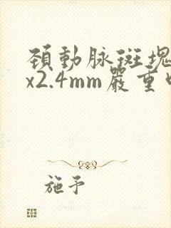 颈动脉斑块22x2.4mm严重吗