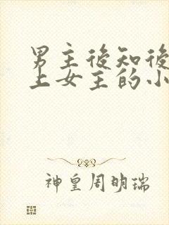 男主后知后觉爱上女主的小说