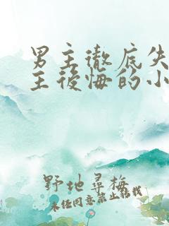 男主彻底失去女主后悔的小说