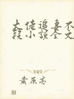 大佬追妻不择手段小说全文免费