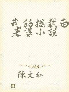 我的总裁白富美老婆小说