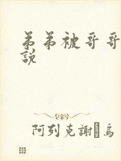 弟弟被哥哥打小说