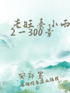 老旺秦小雨102一300章