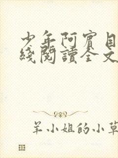 少年阿宾目录在线阅读全文