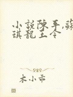 小说陈平,苏雨琪龙王令