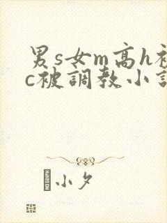 男s女m高h被c被调教小说