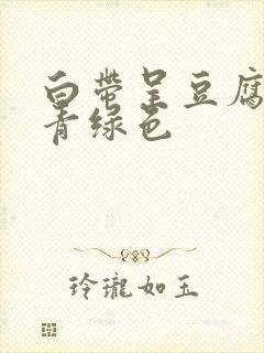 白带呈豆腐渣状青绿色