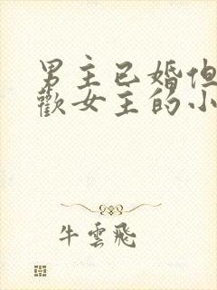 男主已婚但很喜欢女主的小说