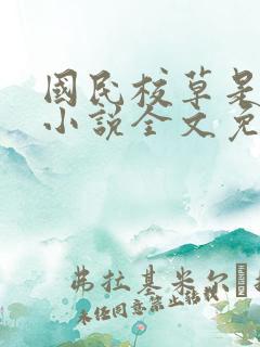 国民校草是女生小说全文免费阅读