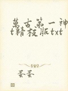 万古第一神txt精校版txt
