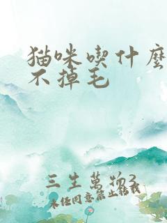 猫咪吃什么可以不掉毛