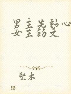 男主先动心苦追女主的文