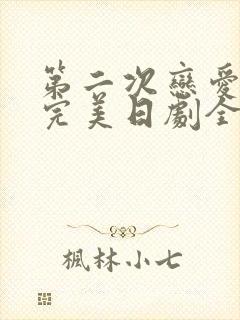 第二次恋爱才算完美日剧全集