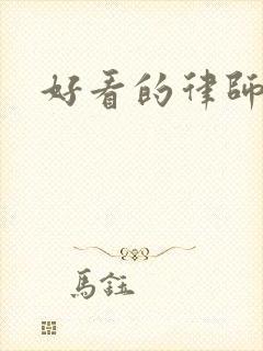 好看的律师小说