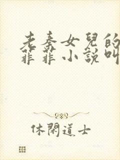 老秦女儿的闺蜜菲菲小说叫什么