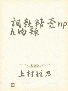 调教精壶np高h肉辣