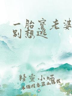 一胎宝老婆大人别想逃