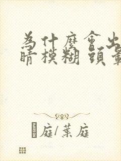 为什么会出现眼睛模糊 头晕晕的感觉