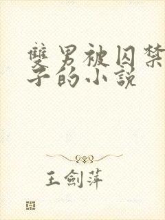 双男被囚禁还生子的小说