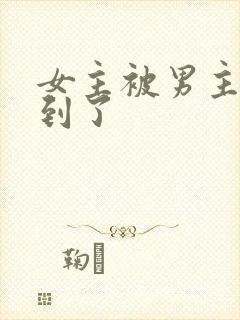 女主被男主们找到了