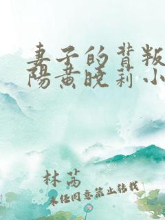 妻子的背叛林子阳黄晓莉小说全集完整版