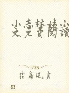 小志林姨小说全文免费阅读