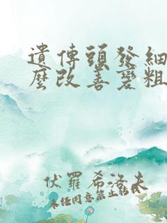 遗传头发细软怎么改善变粗