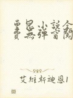 曹昆小说全文免费无弹窗阅读