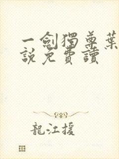 一剑独尊叶玄小说免费读