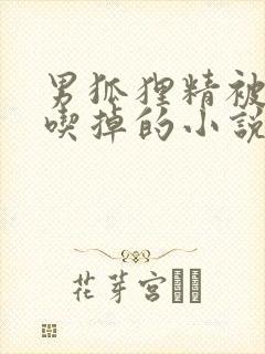 男狐狸精被哄着吃掉的小说免费阅读