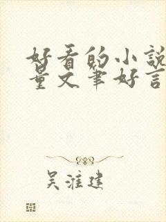 好看的小说高质量文笔好言情