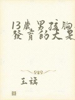 13岁男孩胸部发育的大是怎么办