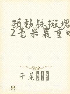 颈动脉斑块1.2毫米严重吗