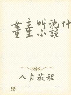 女主叫沈什么的重生小说